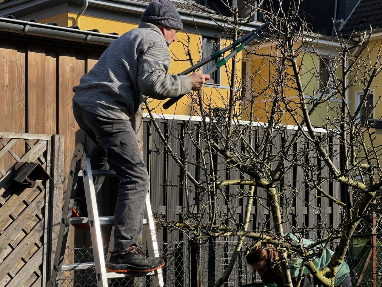 Bäume Schneiden